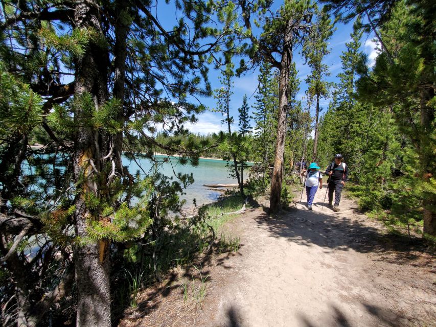 Grand Canyon of the Yellowstone: Loop Hike with Lunch - Returning beside the Yellowstone River