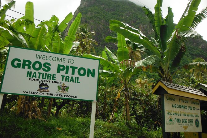 Gros Piton Hike with Dannyboy & Co. - A cold Piton beer at the bottom