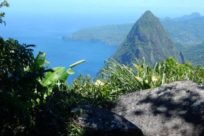 Gros Piton Hike with Dannyboy & Co. - Cancellation and practical details