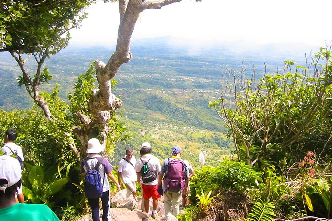 Gros Piton Hiking Adventure - The upper climb tests your legs