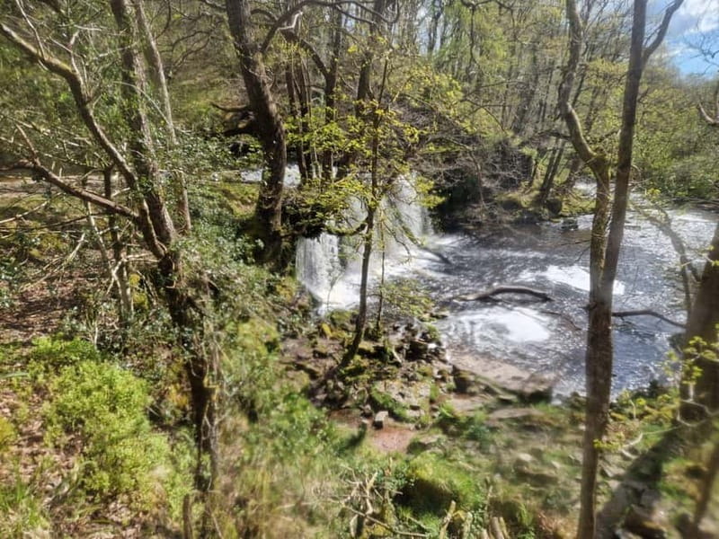 Guided Breacon Beacons 4 waterfalls in day hike from Cardiff - Starting at Cobblers’ Bridge