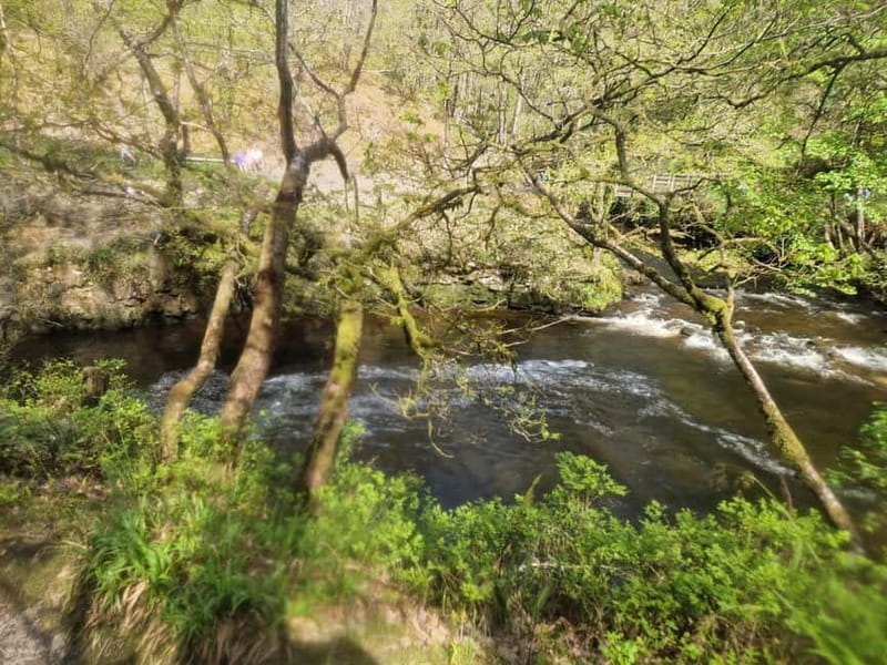 Guided Breacon Beacons 4 waterfalls in day hike from Cardiff - What your guide adds to the day