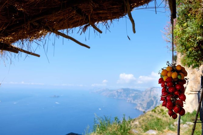 Guided Day Hike on the Path of the Gods with Sorrento Transfer - Key points to know before booking