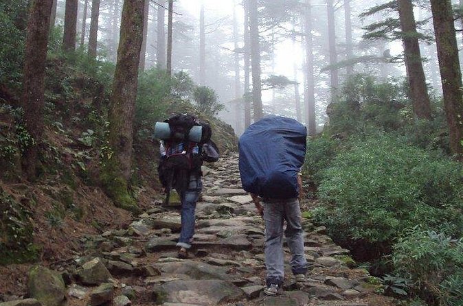 Guided Day Hike to Guna Devi Temple from Mcleodganj - Views toward Kangra and Chamba