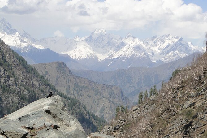 Guided Day Hike to Guna Devi Temple from Mcleodganj - Starting at Naddi Main Square
