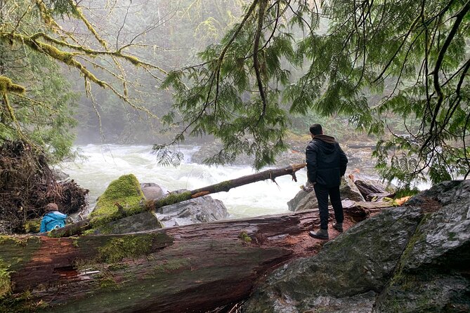 Guided forest hike to Seattle waterfalls incl. Snoqualmie Falls - Why this is more than a quick waterfall stop