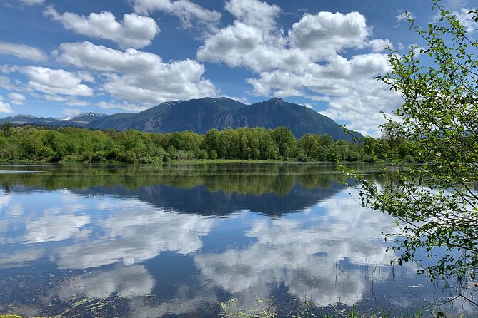Guided forest hike to Seattle waterfalls incl. Snoqualmie Falls - North Bend, Twin Peaks, and the road to Snoqualmie