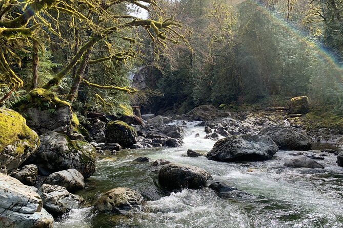 Guided forest hike to Seattle waterfalls incl. Snoqualmie Falls - Is $79 a fair price?