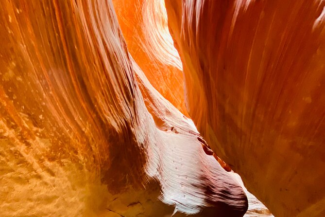 Guided Hike through Peek-a-Boo Slot Canyon (Small Group) - The off-road ride is part of the attraction