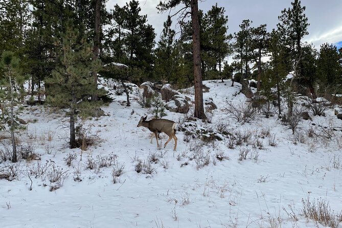Guided Hiking Tours near Fort Collins - Should you book the Horsetooth guided hike?