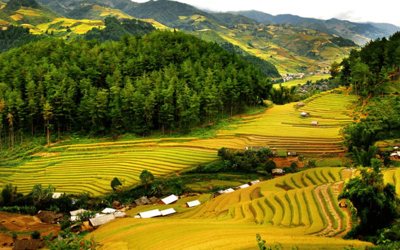 Ha Noi - Mai Chau - Pu Luong 2 Days 1 Night Trekking Tour - Pu Luong’s terraces on the second morning