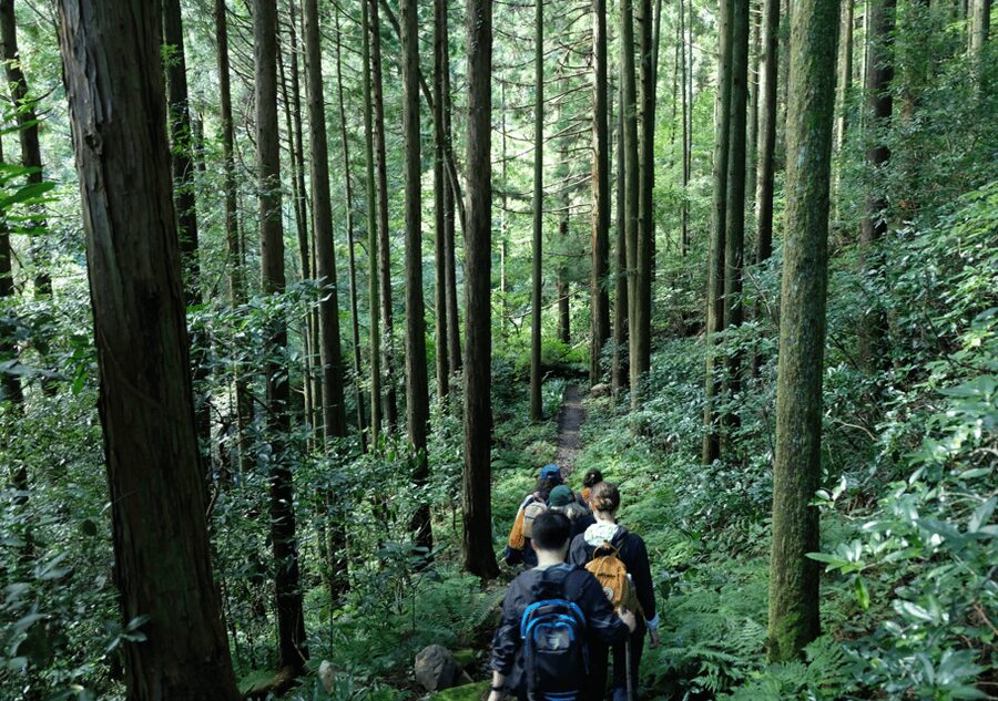 Hakone Hachiri: Old Tokaido Highway Hiking Tour - Guide quality and the value of a small group