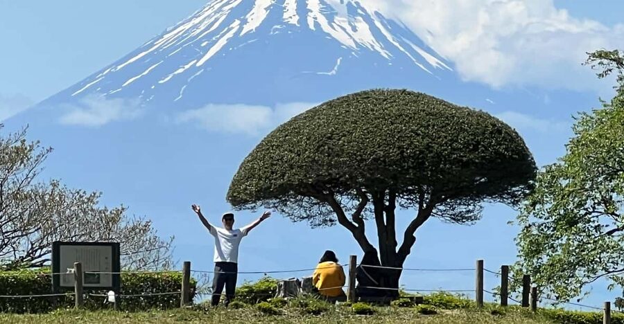 Hakone Hachiri: Old Tokaido Highway Hiking Tour - Why Hakone Hachiri is worth walking