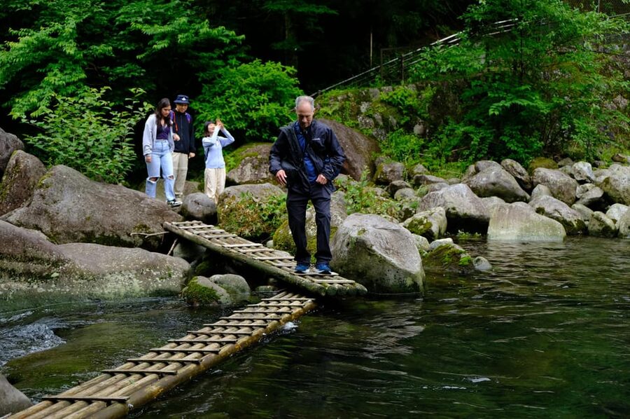 Hakone Hachiri: Old Tokaido Highway Hiking Tour - Cobblestones, Lake Ashi, and the cedar avenue