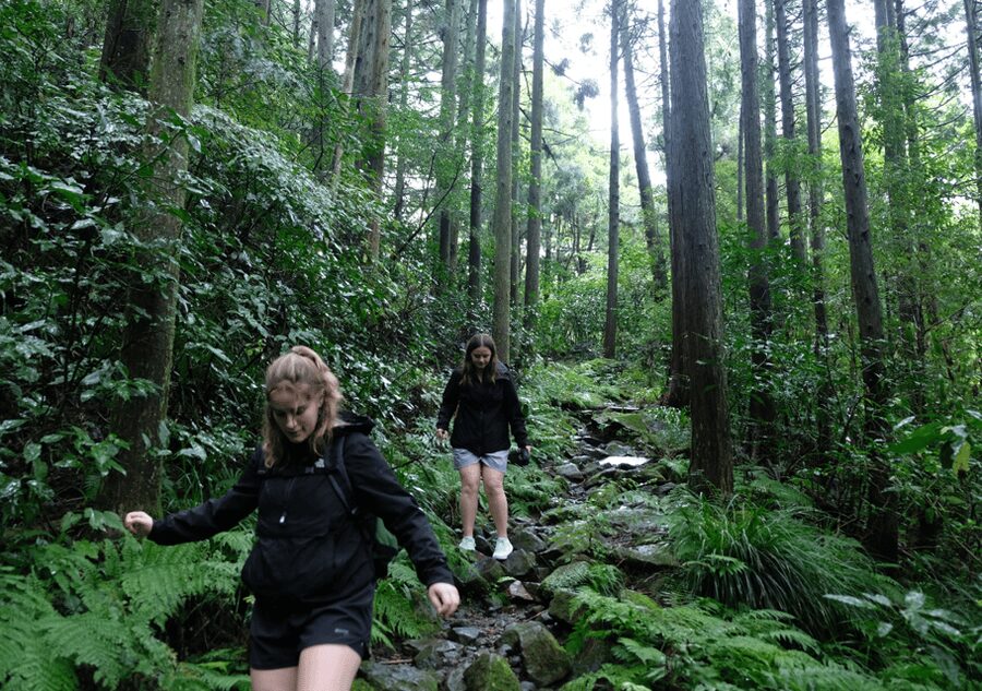 Hakone Hachiri: Old Tokaido Highway Hiking Tour - Hakone Checkpoint and lunch beside the lake