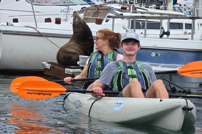 Half Day Dana Point Kayak and Hike - Key points to know before booking