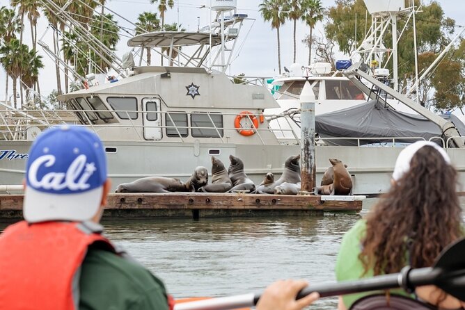 Half Day Dana Point Kayak and Hike - Who will enjoy this Dana Point tour