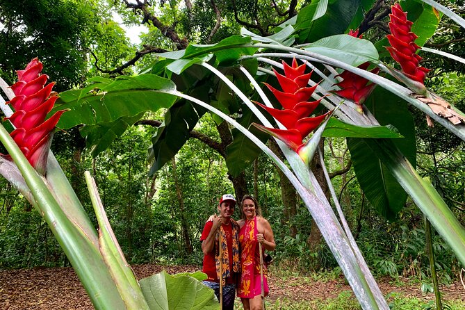Half-Day Guided Hike to Afareaitu Waterfall - Guides who make the plants and stories memorable