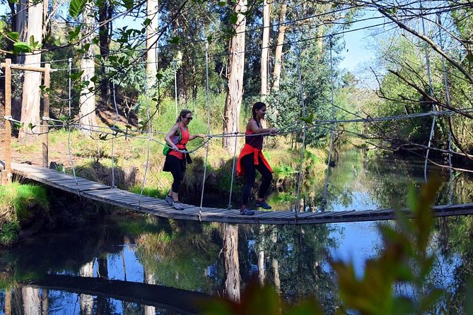 Half-day Hike & Picnic with Dog Love in Porto's Mountains - Why this half-day outing works so well from Porto