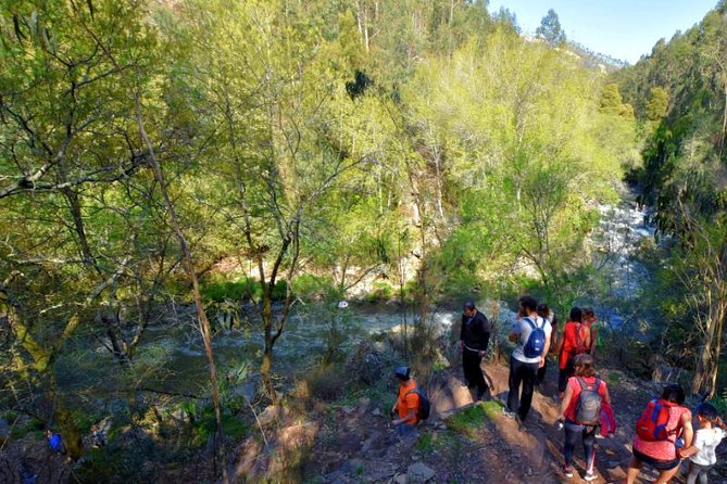 Half-day Hike & Picnic with Dog Love in Porto's Mountains - Shy, the four-legged co-guide