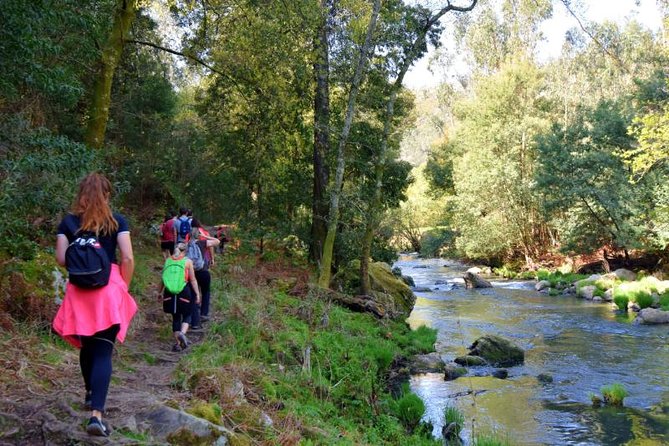 Half-day Hike & Picnic with Dog Love in Porto's Mountains - Meeting Ricardo at São Bento Station