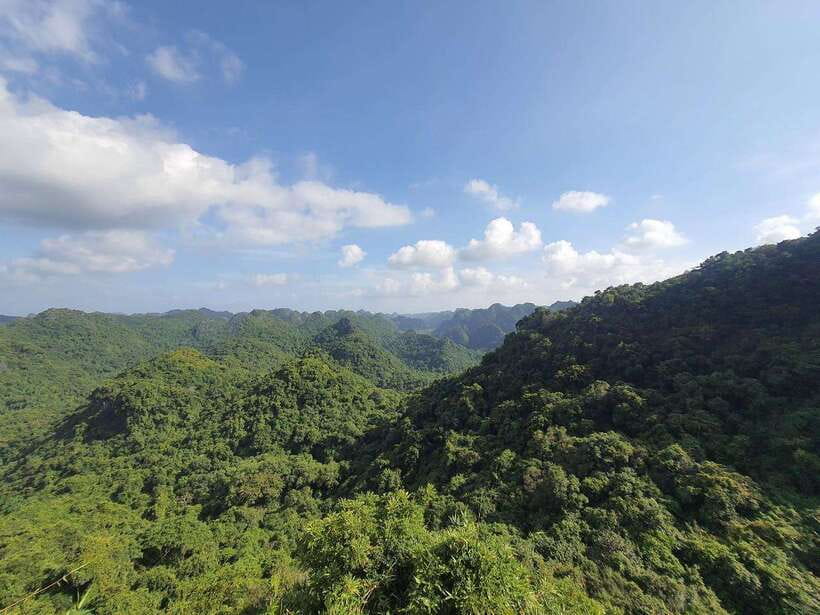 Half Day Hiking to Cat Ba National Park with a Guide - The climb to Ngu Lam Peak takes real effort