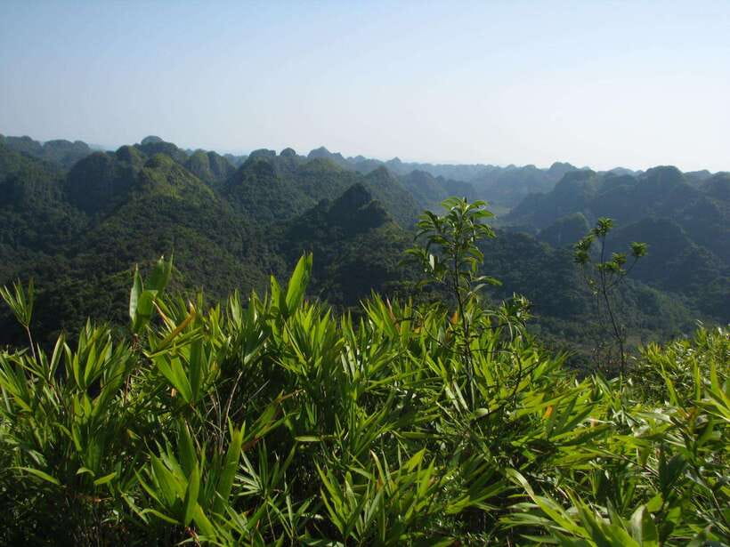 Half Day Hiking to Cat Ba National Park with a Guide - Trung Trang Cave gives you a cooler second act
