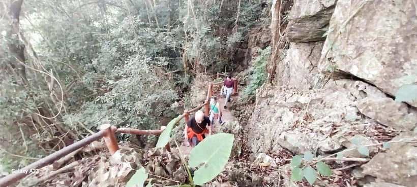 Half Day Hiking to Cat Ba National Park with a Guide - Small details that make the day easier