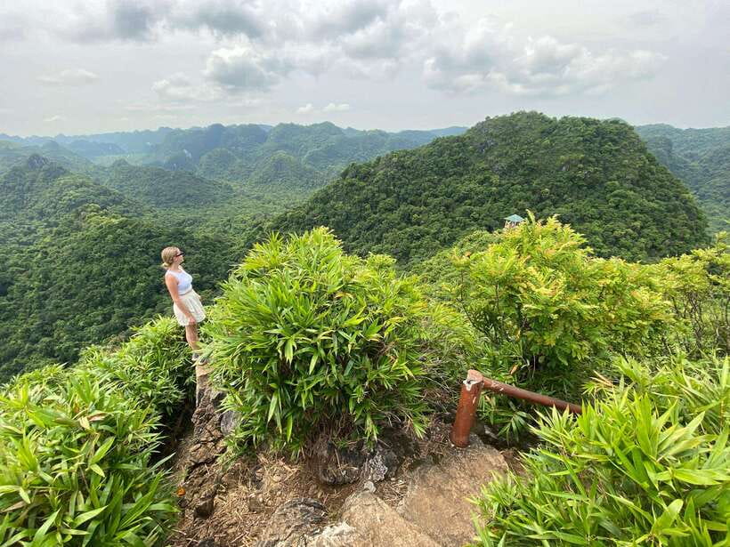 Half Day Hiking to Cat Ba National Park with a Guide - Watch for small wildlife and useful plants