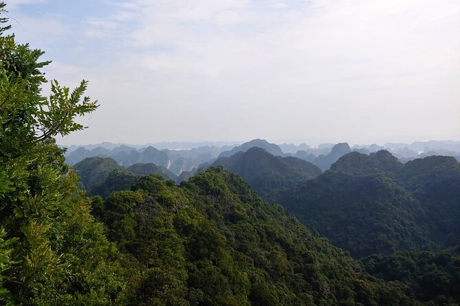 Half Day Hiking to Discover Cat Ba National Park with a Guide - Key points at a glance