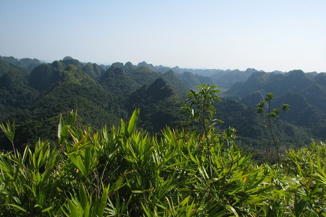 Half Day Hiking to Discover Cat Ba National Park with a Guide - Why this half-day hike works so well on Cat Ba