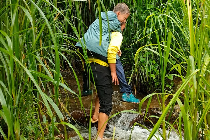 Half Day Private Trekking Mu Cang Chai_Morning or Afternoon - A private walk capped at six people