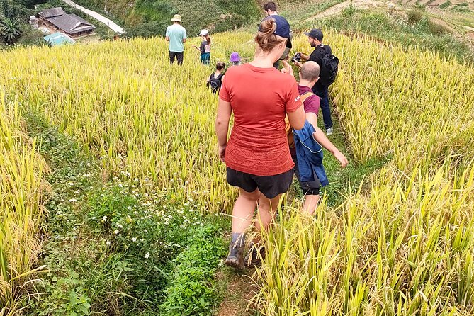 Half Day Private Trekking Mu Cang Chai_Morning or Afternoon - What is included, and what you still need