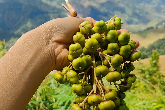 Half Day Private Trekking Mu Cang Chai_Morning or Afternoon - Who will enjoy this trek most