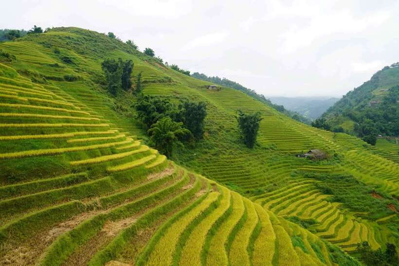 Half Day Sapa Trekking to Visit Lao Chai - Ta Van - What this Sapa trek is really like