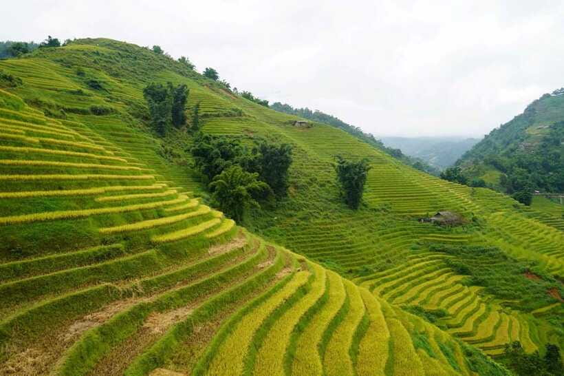 Half Day Sapa Trekking to Visit Lao Chai - Ta Van - Handling the village sellers