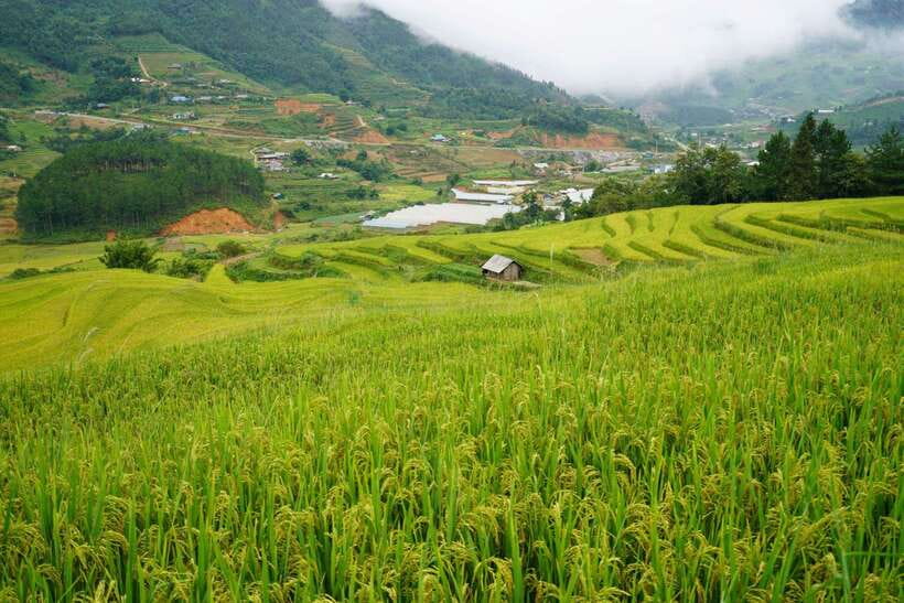 Half Day Sapa Trekking to Visit Lao Chai - Ta Van - Is $22 good value for the morning?