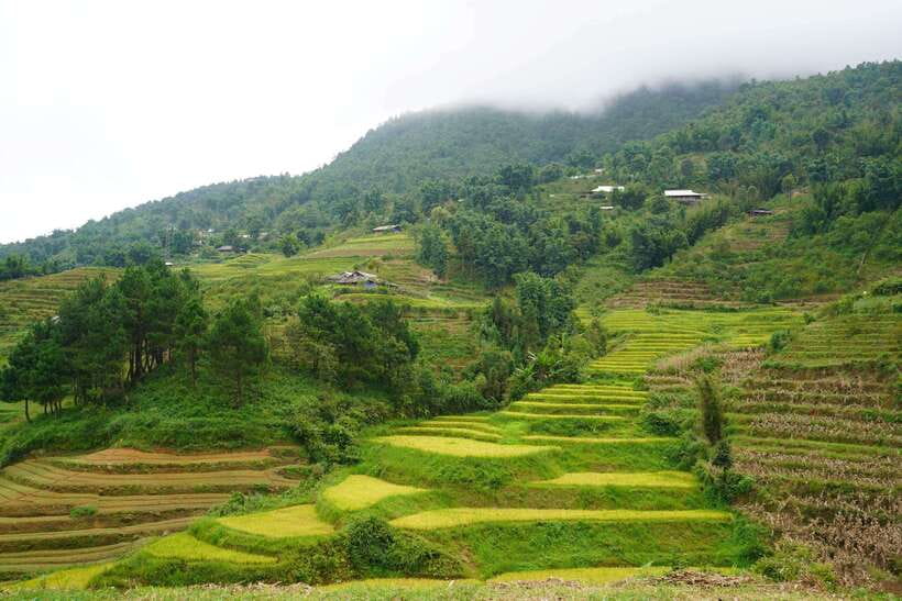 Half Day Sapa Trekking to Visit Lao Chai - Ta Van - Who should choose this half-day route?