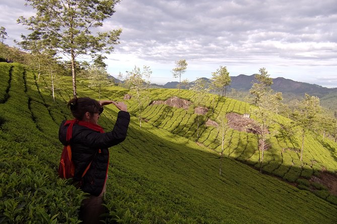 Half day trekking (munnar valley Trekking & Tours ) - What the guide adds, and what the guide may not