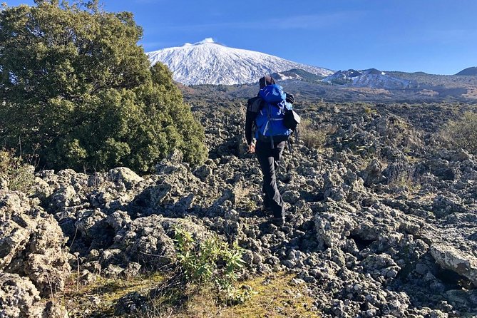 Half or full day trekking on Etna with private guide - Guides, language, and the private format