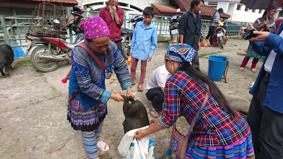 Hanoi: 2-Day Sa Pa Guided Village & Homestay Trekking Tour - Sa Pa town, lunch, and the long return to Hanoi