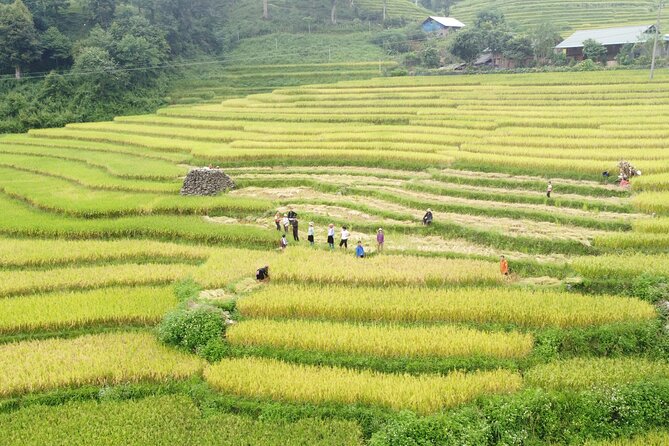 Hanoi - Sapa 2 Days 1 Night Overnight At Local Homestay - Day two: Giang Ta Chai and Su Pan