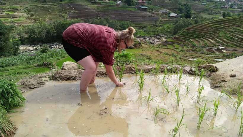 Hanoi- SaPa: 3-Day Homestay Trek to Explore Ethnic cultures - What this Sa Pa trek is really like