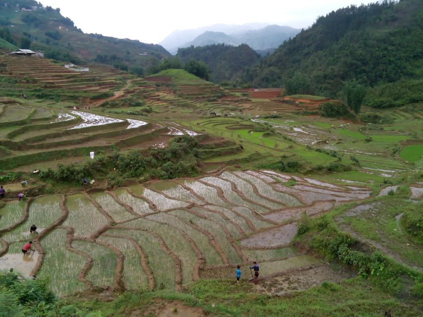 Hanoi- SaPa: 3-Day Homestay Trek to Explore Ethnic cultures - The homestays and local contact