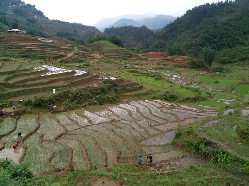 Hanoi- SaPa: 3-Day Homestay Trek to Explore Ethnic cultures - How difficult is the walking?