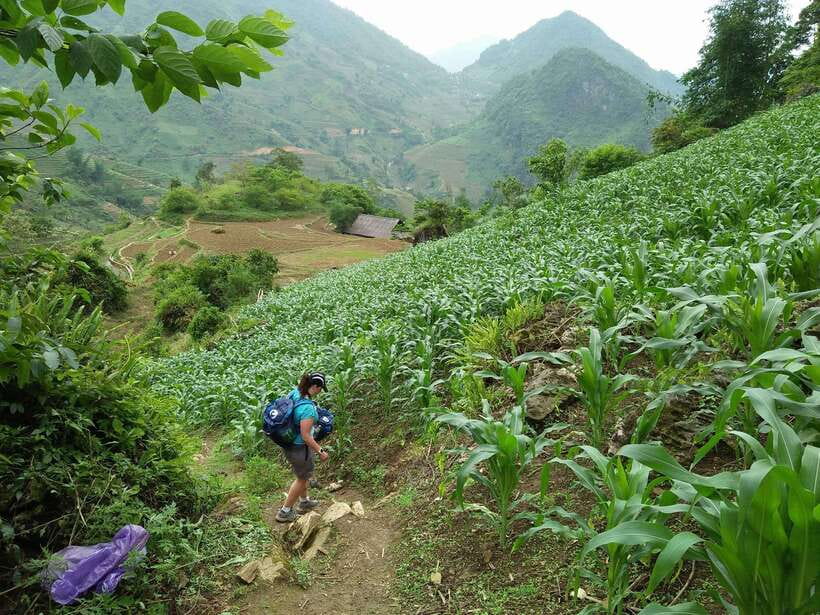 Hanoi- SaPa: 3-Day Homestay Trek to Explore Ethnic cultures - The overnight bus from Hanoi