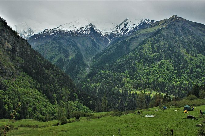 Har Ki dun Trek by Himalaya Shelter - Day two: Sankri to Osla at 2,700 meters