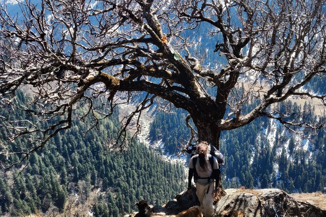 Har Ki dun Trek by Himalaya Shelter - Day one: eight hours from Dehradun to Sankri