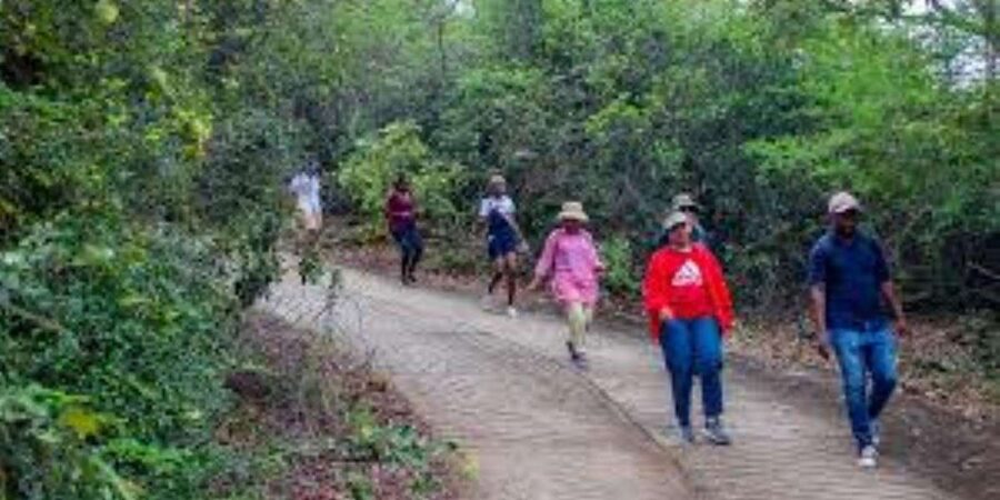 Hazyview : Sabie River Hiking Trail 12km - The role of the guide