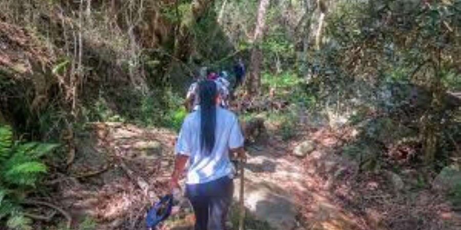 Hazyview : Sabie River Hiking Trail 12km - What the $11 price gives you